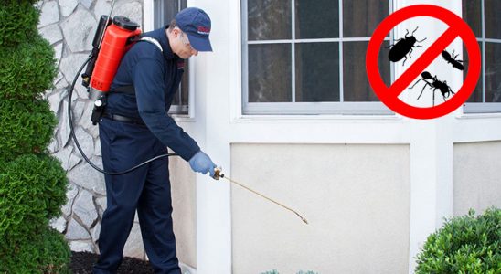 Sulusaray Akrep İlaçlama böcek ilaçlama ve haşere kontrolü — ilaclama-tr.com